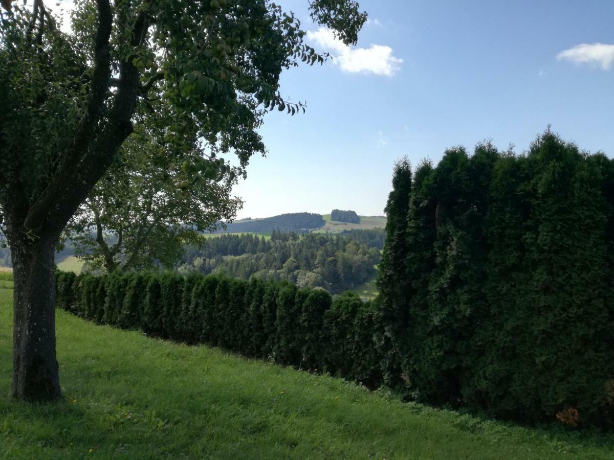 Villa Jenny Lembach im Mühlkreis Esterno foto