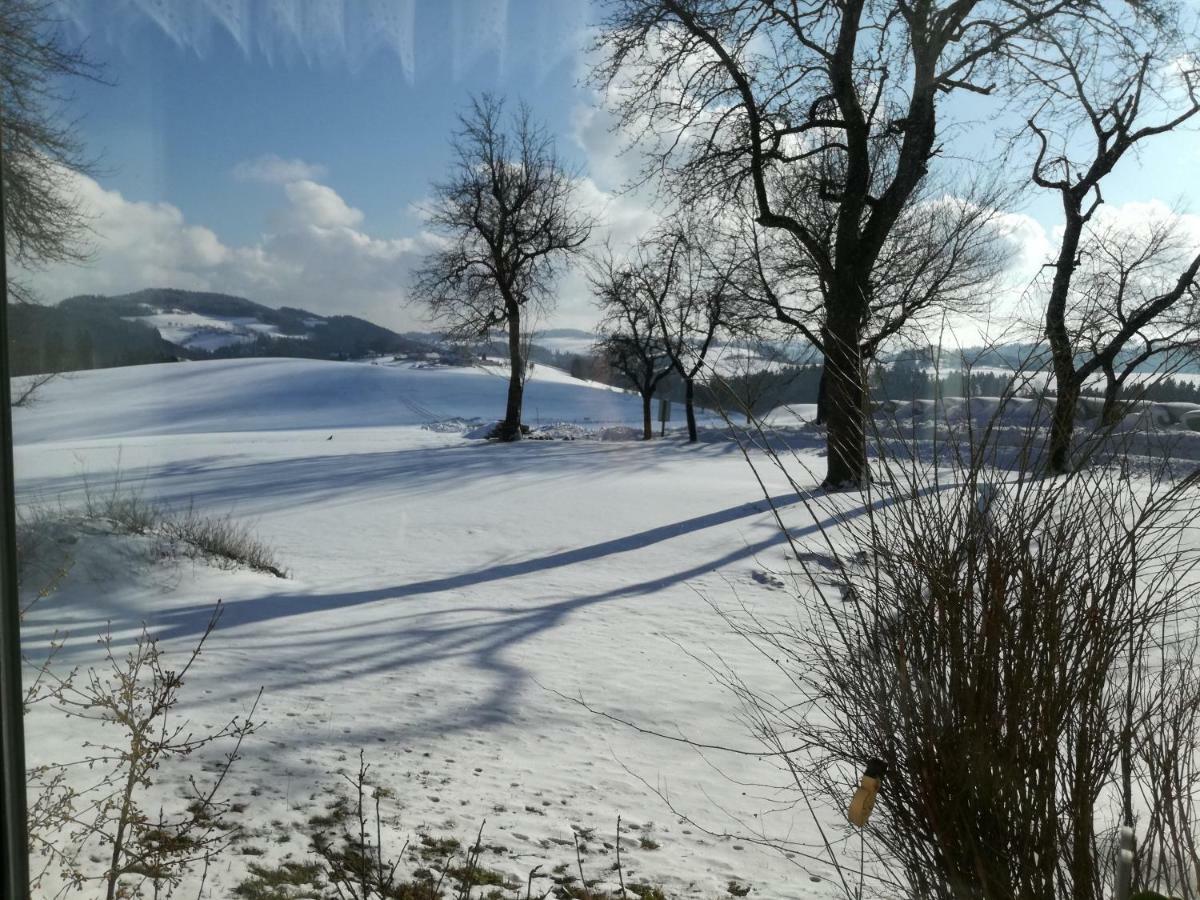 Villa Jenny Lembach im Mühlkreis Esterno foto
