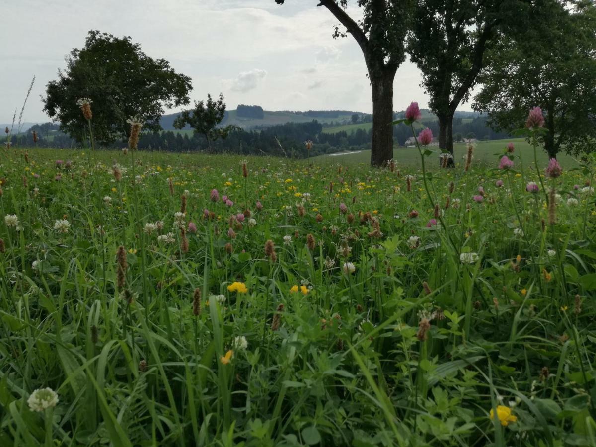Villa Jenny Lembach im Mühlkreis Esterno foto