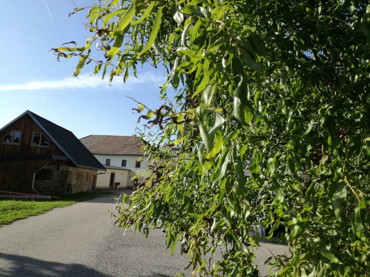 Villa Jenny Lembach im Mühlkreis Esterno foto